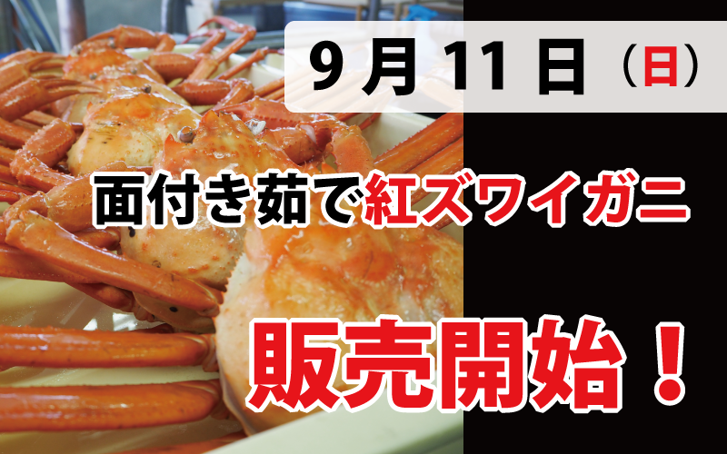 富山県産 紅ズワイガニ 4匹 冷凍ボイル 中サイズ 魚介類(加工食品
