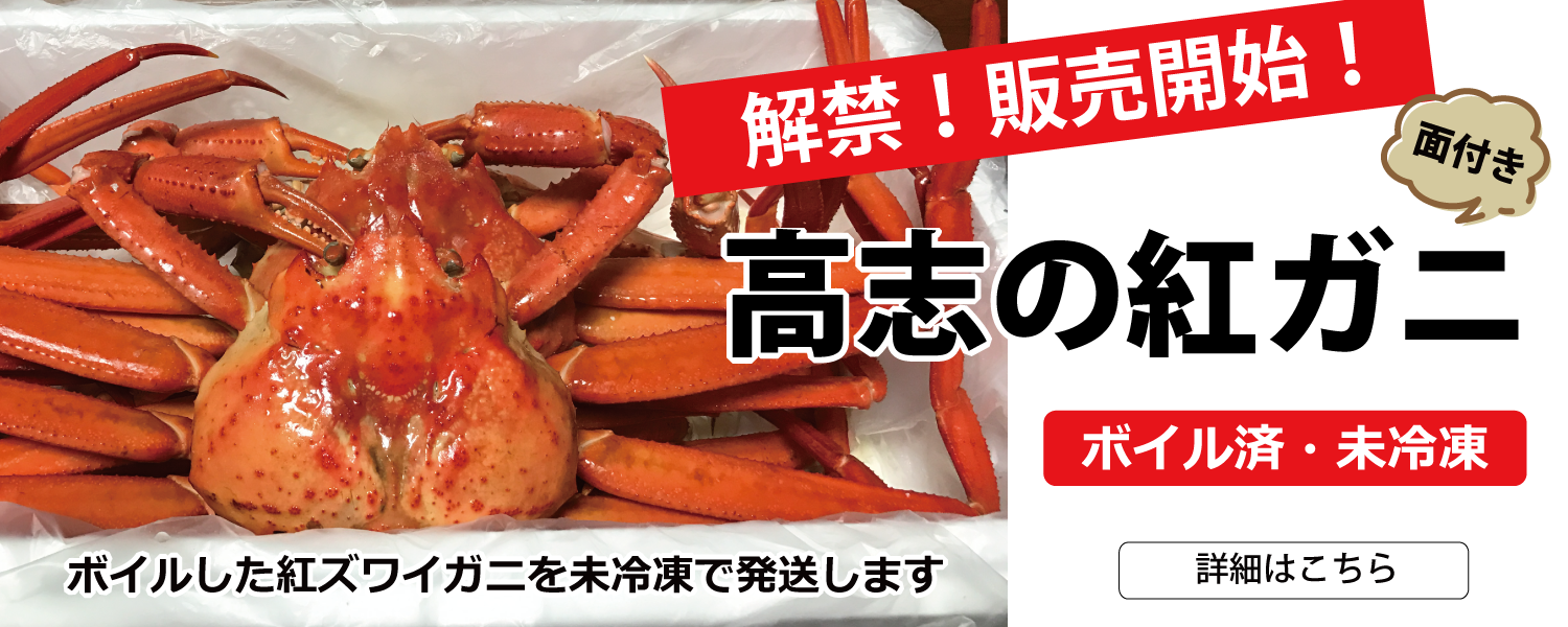 富山県産　紅ズワイガニ　4匹　冷凍ボイル　特大〜大サイズ　1点　今朝取れ　新鮮